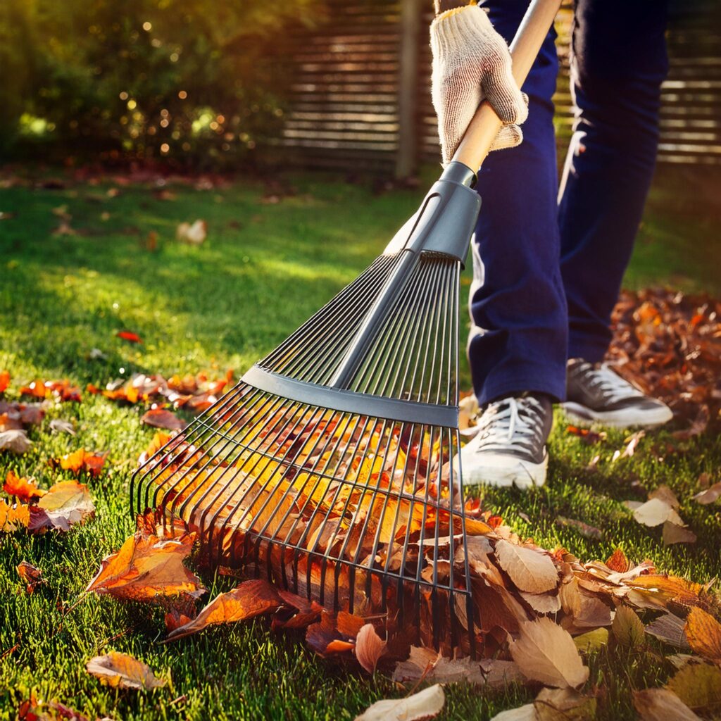 raking leaves